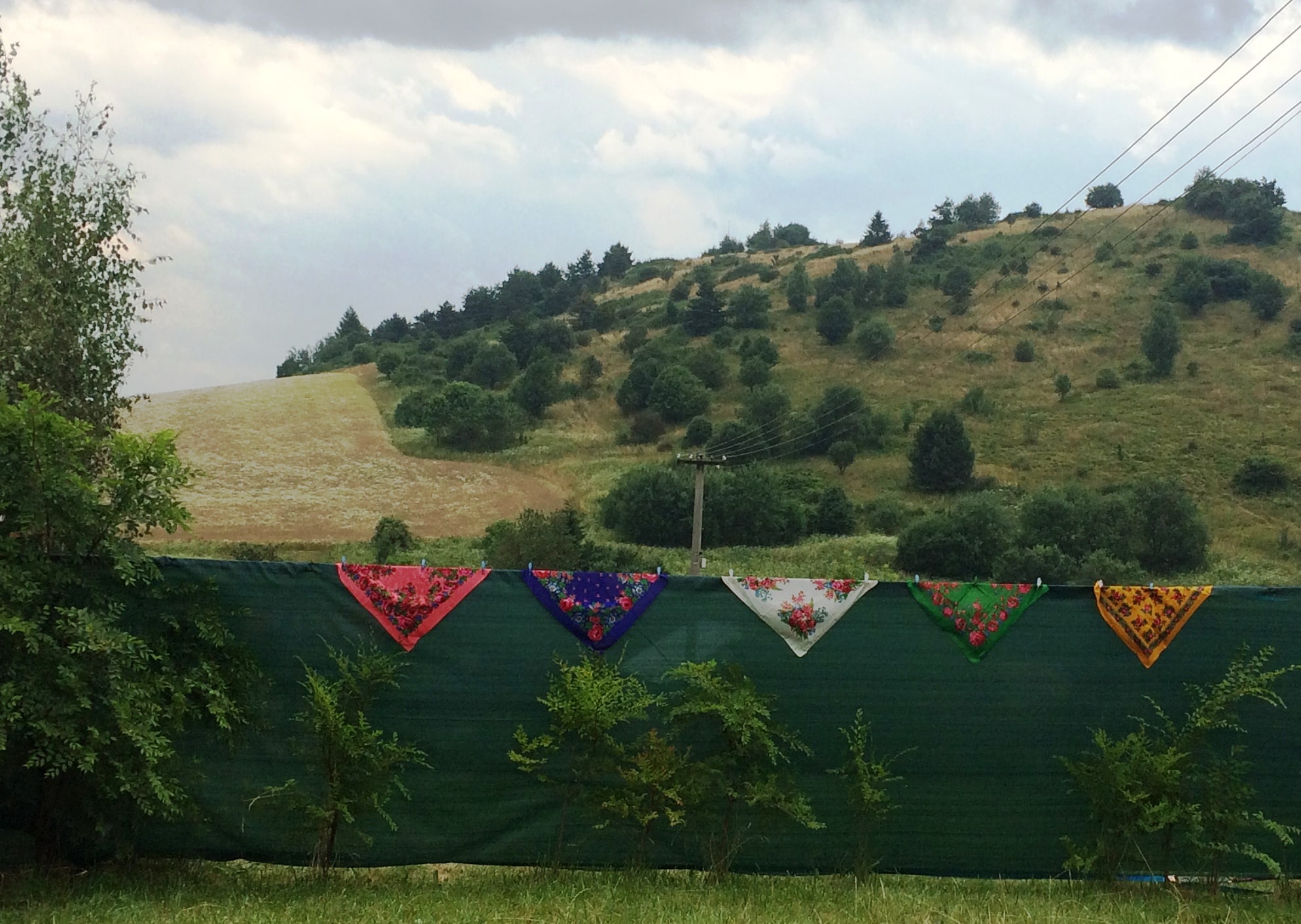 Pestovanie pšenice pod Beskydkom - Kultúrne leto 2019