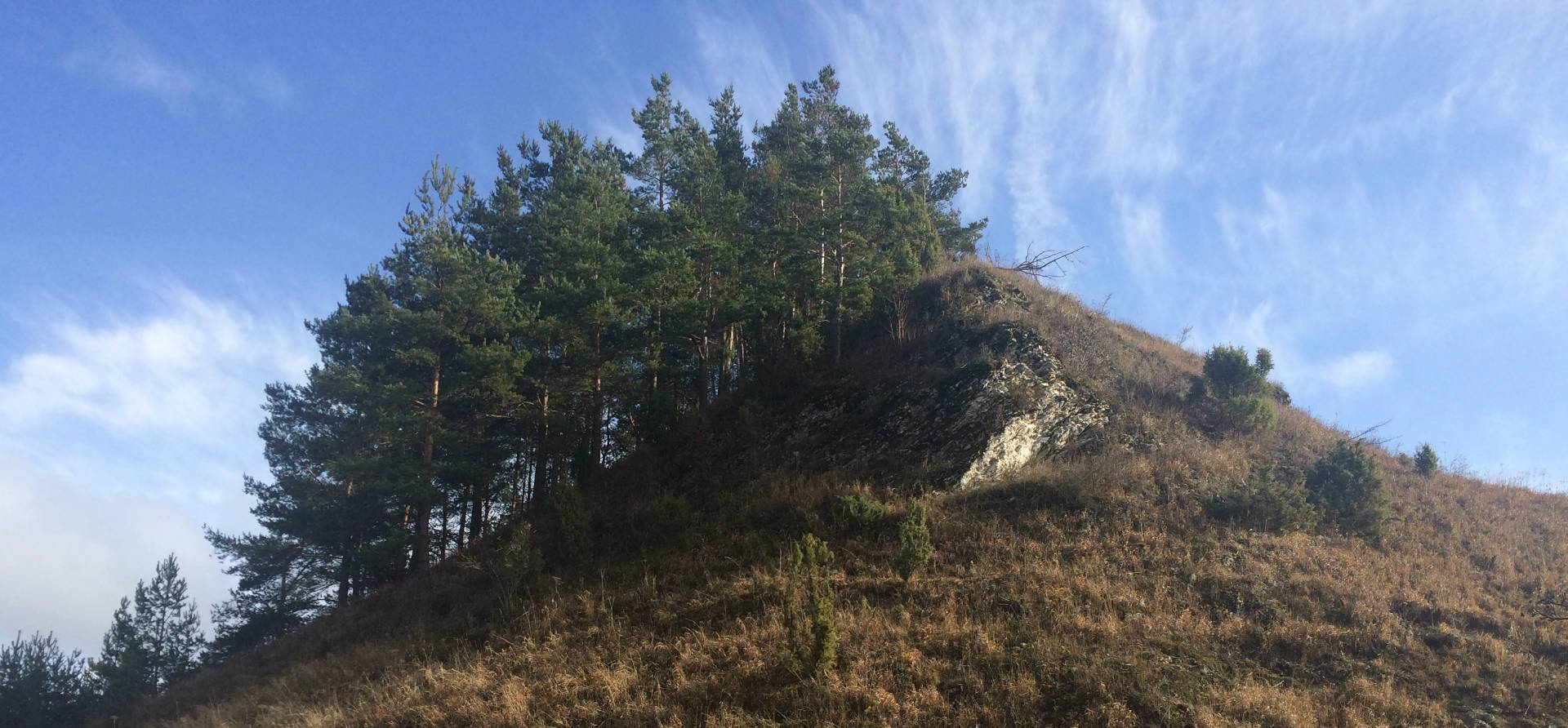 Stromy sa tu udržia aj na tvrdých bradlách