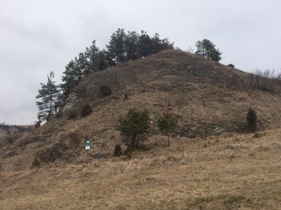 Kyjovské bradielka