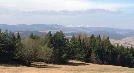 Pohľad na Vysoké Tatry spod Lysej hory