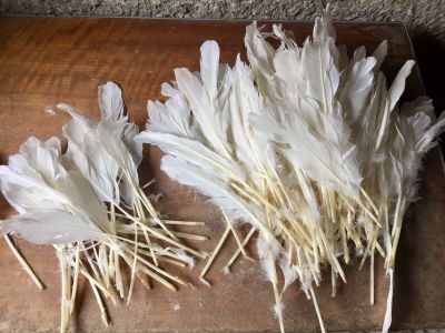 Poparane-a-nepoparane-perie