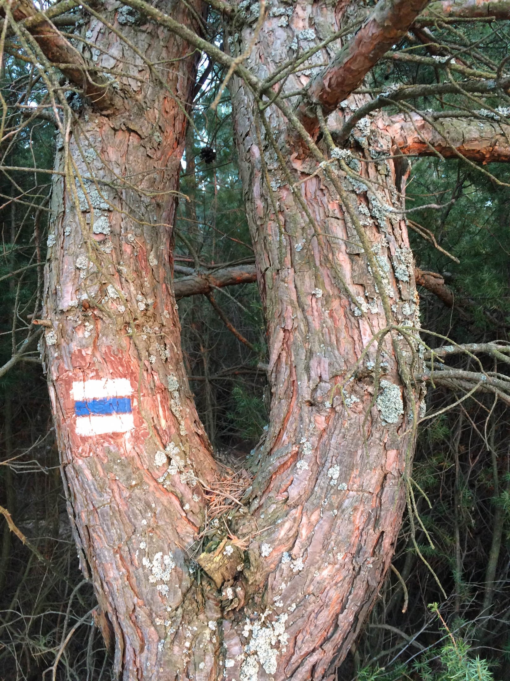 Turistické značenie